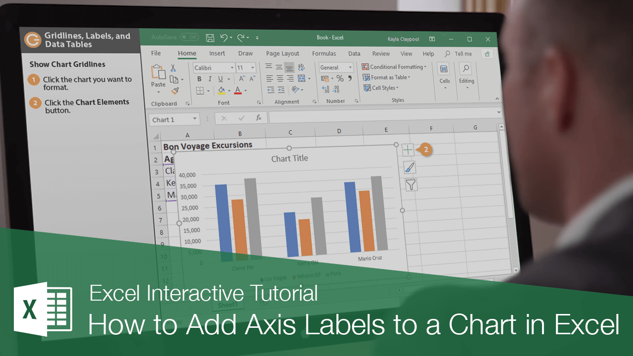 How to Add Axis Labels to a Chart in Excel